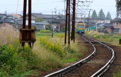 かぼちゃ君の後ろ姿^^♪