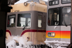 仲間よ、互いに頑張ろうぜ！