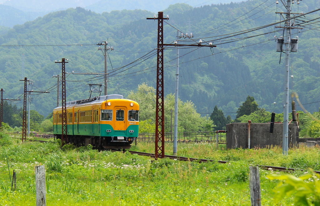 かぼちゃ電車君の通る道