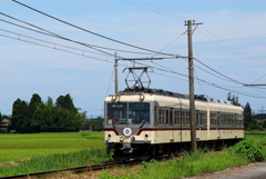 ダイコン君、山に向かいます＾＾♪