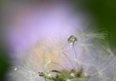 ふわっと受け止められて