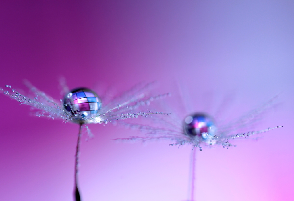 ショパンの曲はわたしの心を魅了して・・・♪