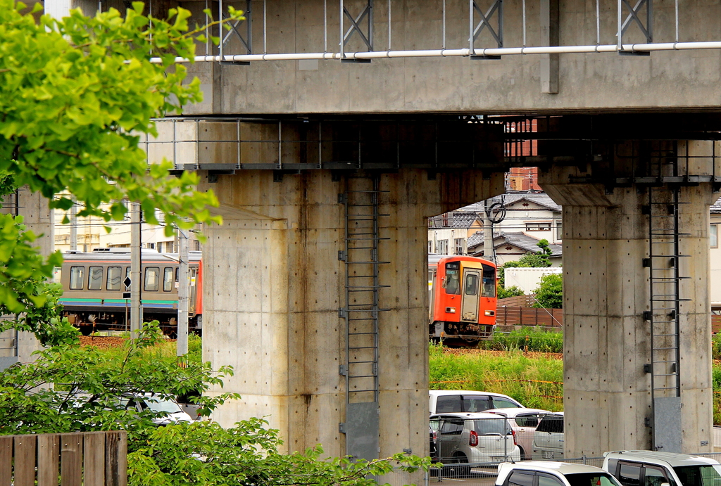 隙間からこんにちは