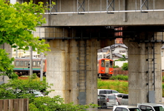 隙間からこんにちは