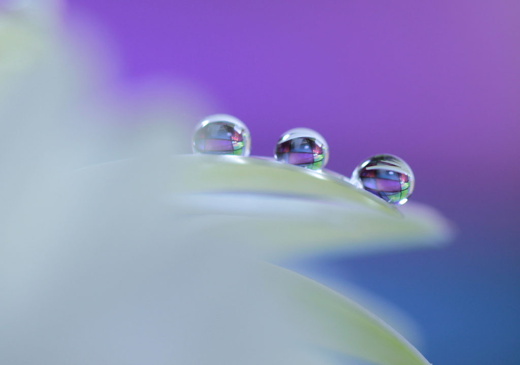 心海ＤＲＯＰＳ　90