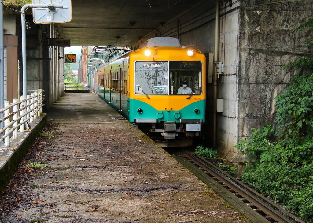 かぼちゃ君～♪
