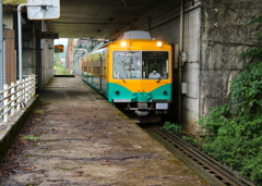 かぼちゃ君～♪