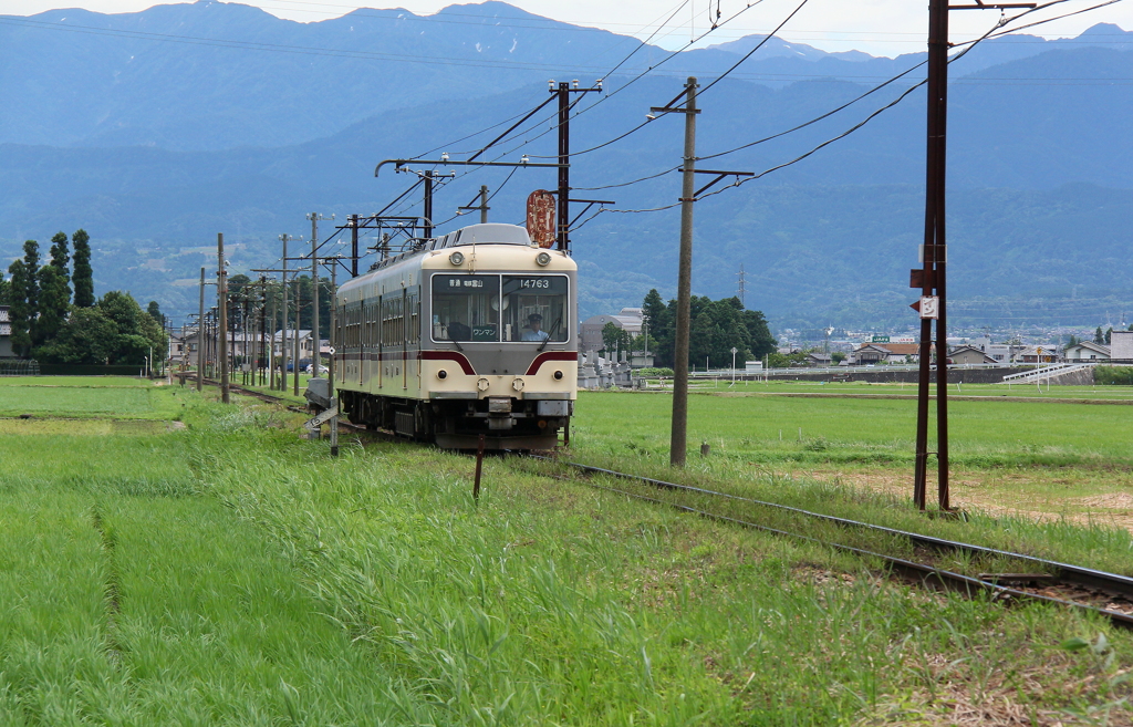 ダイコン電車が走る～♪