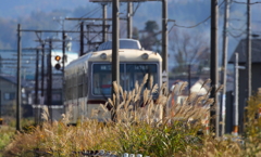 ゆく秋を見届け走る