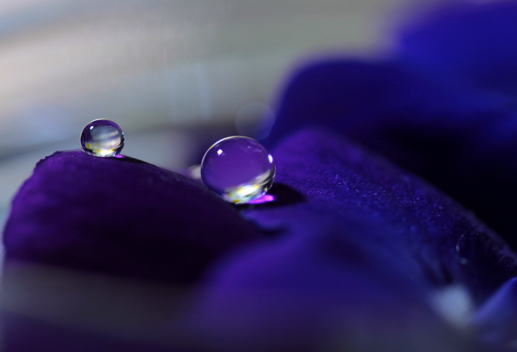 心海ＤＲＯＰＳ　12