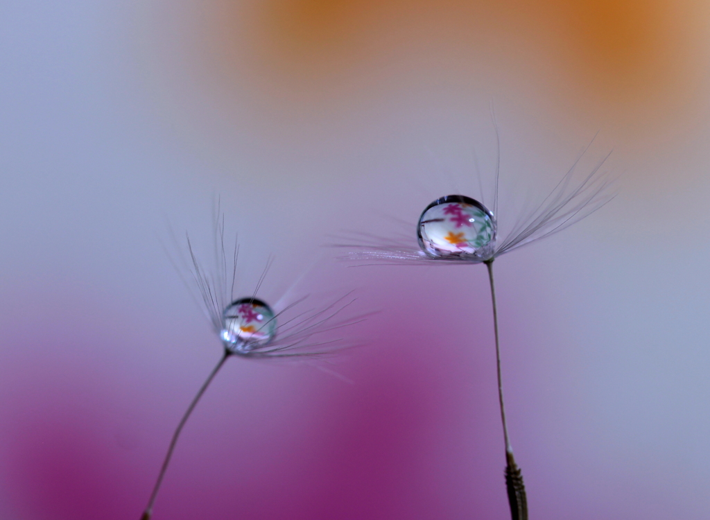 喜びも悲しみも分かち合えるように～♪