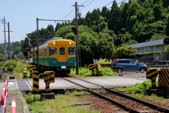 かぼちゃ君～♪