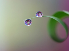 心海ＤＲＯＰＳ　67