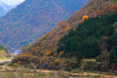 かぼちゃ君～♪