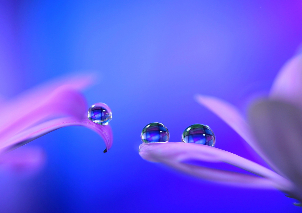 心海ｄｒｏｐｓ