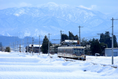 ダイコン君～♪　待っていたよ！
