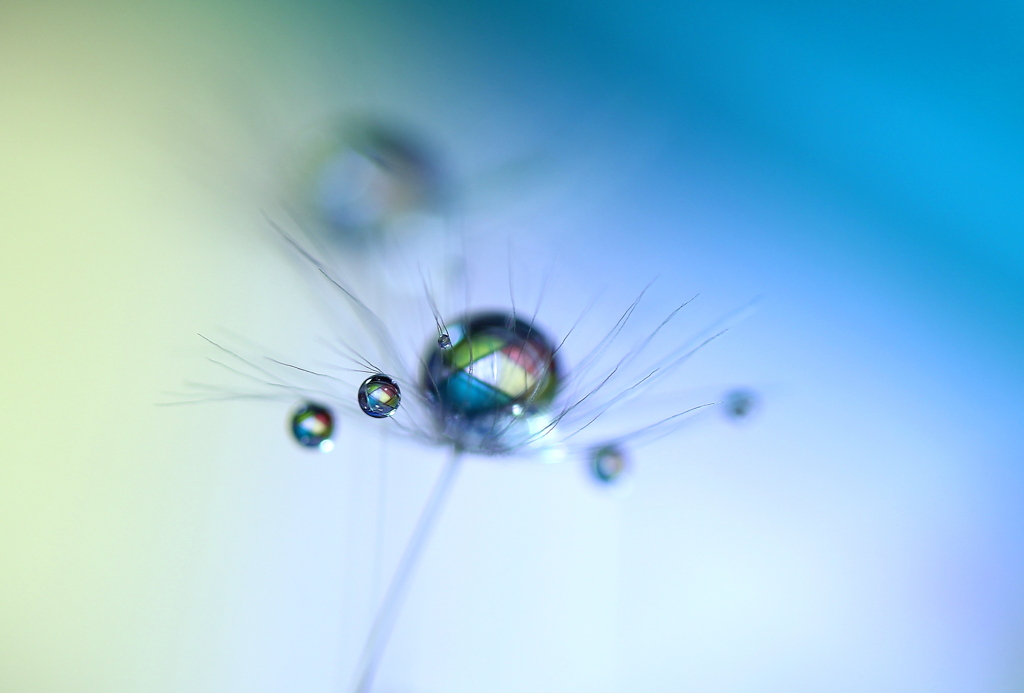 心海ＤＲＯＰＳ・・・