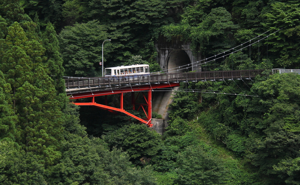 秘境を走る観光バス