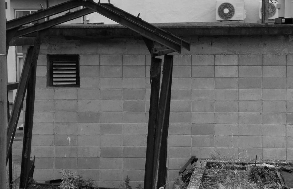 カメラ君ボクを絵にしようとしても無理かも？