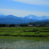 剣岳の見える田園風景