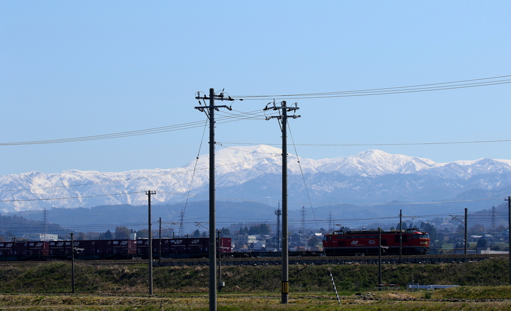 レッドサンダーがゆく