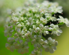 優しさに包まれて