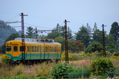 かぼちゃ君がゆく~♪