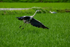 もっと大きな獲物を探そう～♪