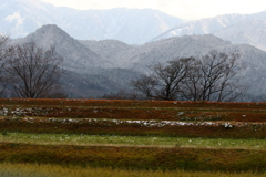 荒涼として山ありて我おもう