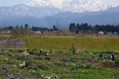 里山の春