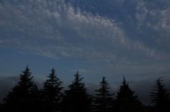 サンタが町にやってくる♪