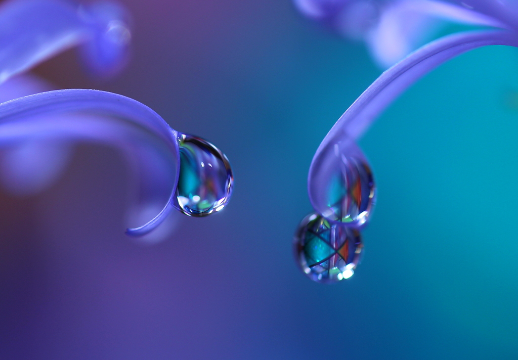 心海ＤＲＯＰＳ・・・輝く瞬間