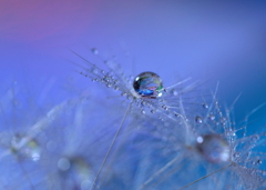 心海ＤＲＯＰＳ　115