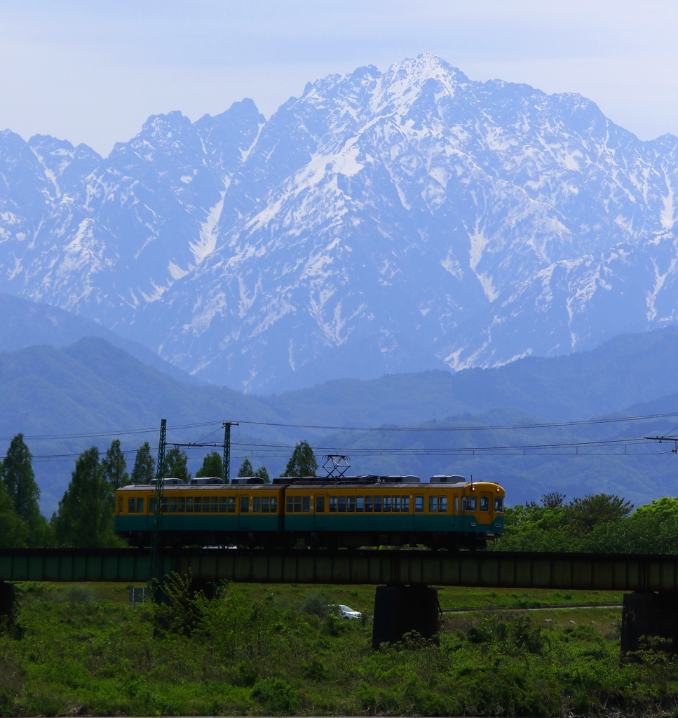 山から下りてきたカボチャ電車君