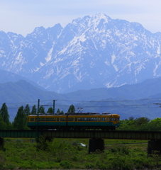 山から下りてきたカボチャ電車君