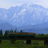 山から下りてきたカボチャ電車君