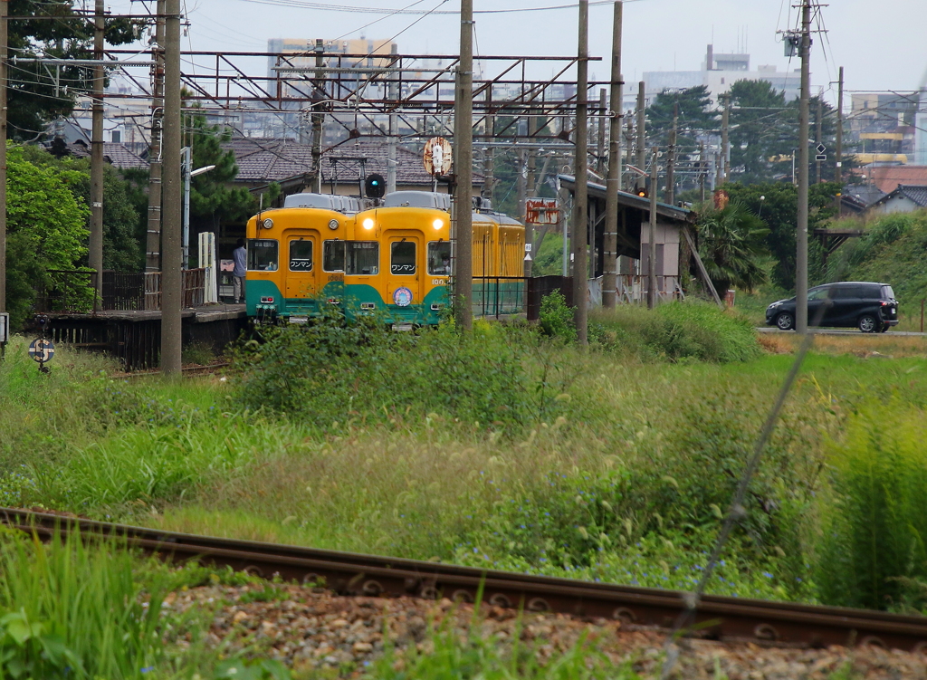 すれ違い～♪　かぼちゃ君ｗ