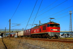 レッドサンダー君~♪