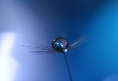 主題とへんそう　2