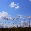 空と大地