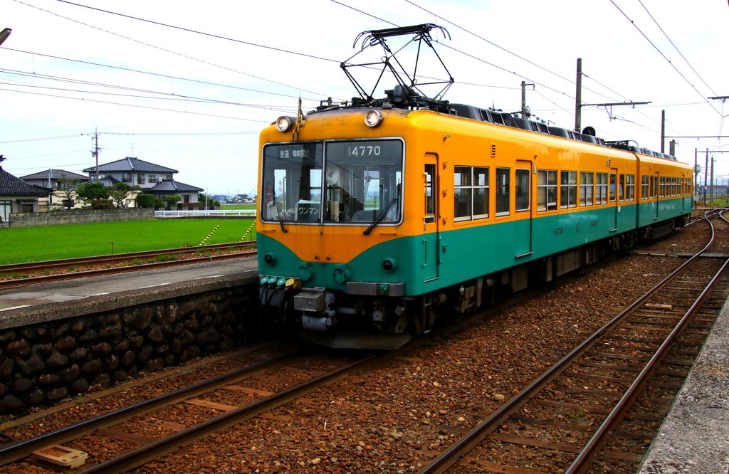 かぼちゃ君~♪