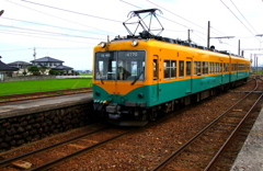 かぼちゃ君~♪
