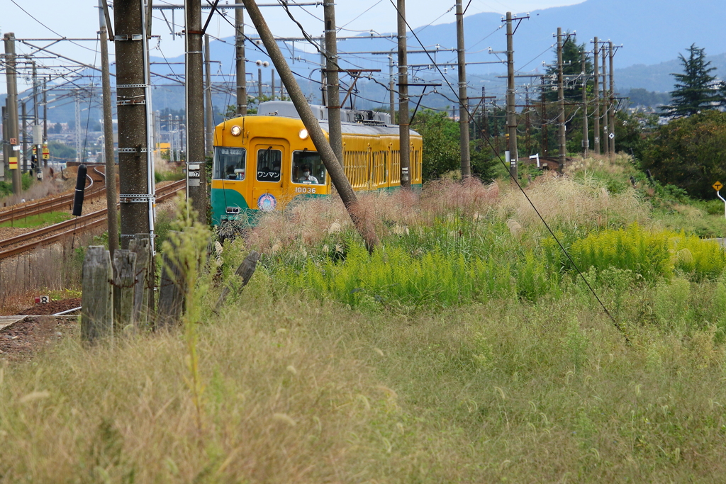 かぼちゃ君がやって来る～♪