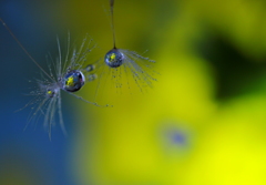イメージはビバルディの春～♪