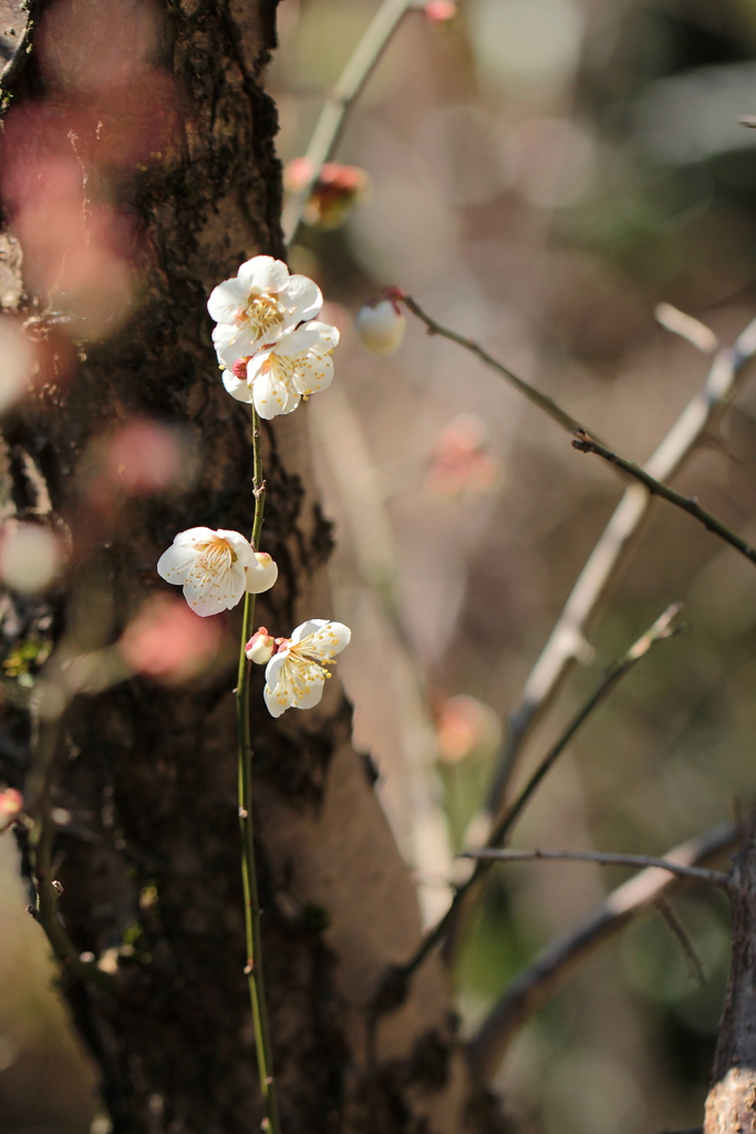 待ってたよ～♪