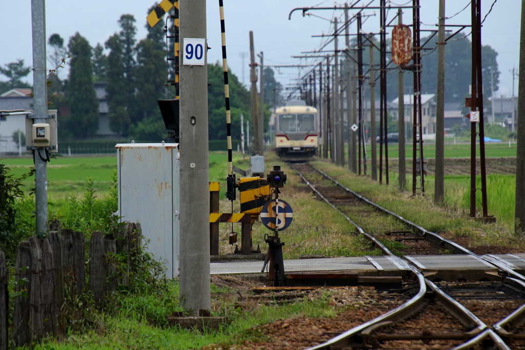 ダイコン電車君の旅は続く～♪