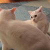 な・・・なんだよ