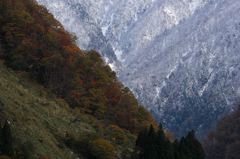 秋と冬との共有