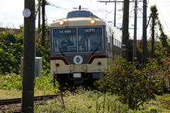 ｗ運転手さん