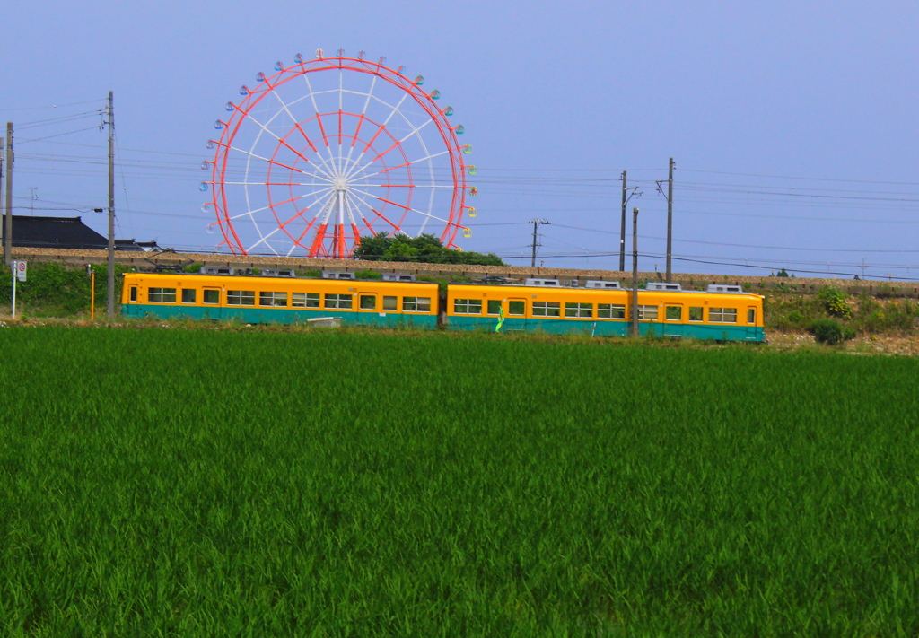 青田と観覧車とカボチャ電車